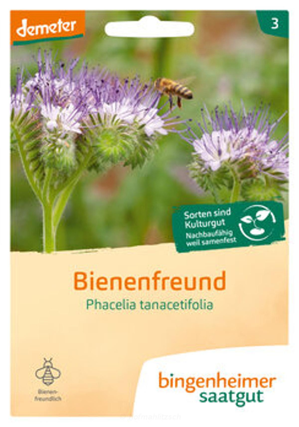 Produktfoto zu Bienenfreund Phazelie