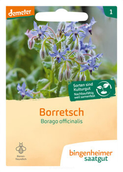 Produktfoto zu Borretsch - Gurkenkraut