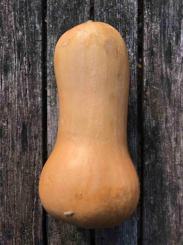 Produktfoto zu Butternutkürbis