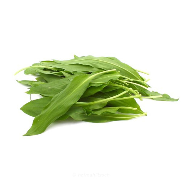 Produktfoto zu Bärlauch Bund