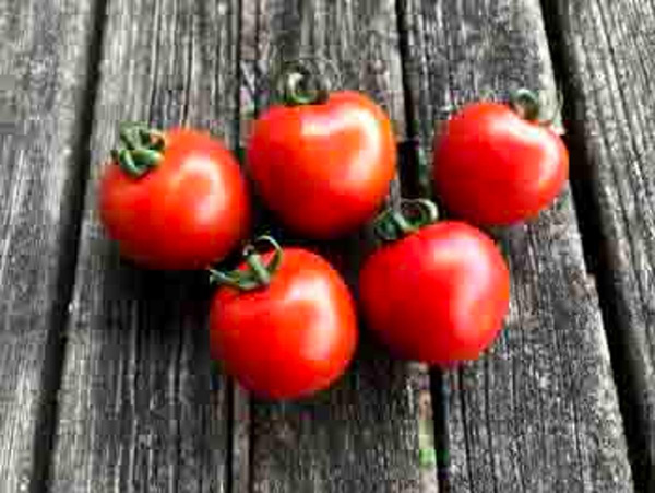 Produktfoto zu Tomaten 2kg - Aktionsangebot für Tomatenliebhaber & Soßenkasper