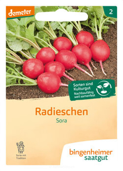 Produktfoto zu Radieschen Sora