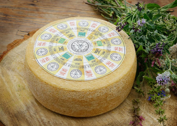 Produktfoto zu Creuzburger Ziegenkäse - milder Schnittkäse mit dezenter Ziegennote