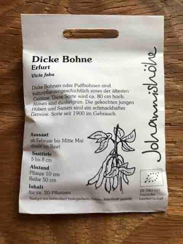 Produktfoto zu Dicke Bohne Erfurt