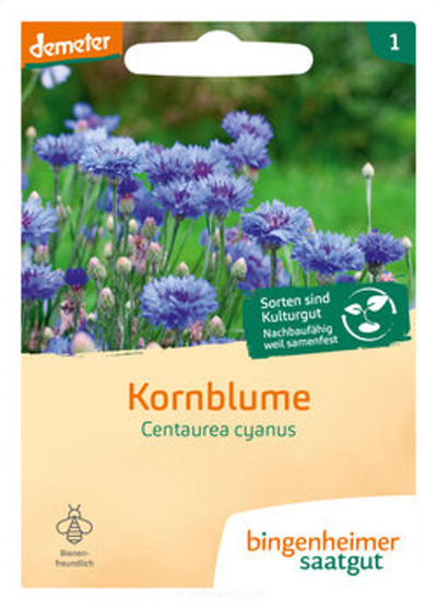 Produktfoto zu Kornblume