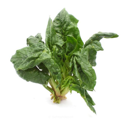 Produktfoto zu Blattspinat