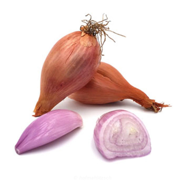 Produktfoto zu Schalotte