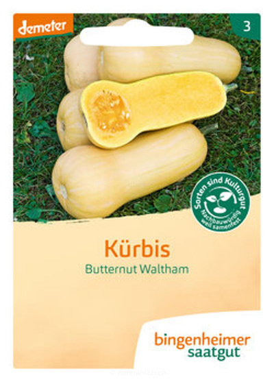 Produktfoto zu Kürbis Butternut