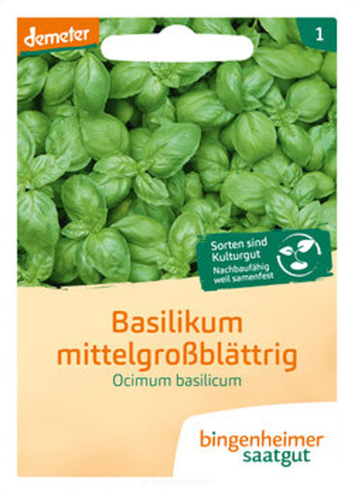 Produktfoto zu Basilikum mittelgroßblättrig
