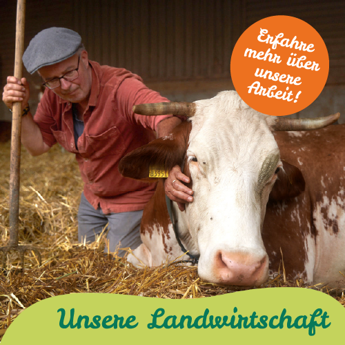 Familie mit Kindern steht vorm Haus und bestaunt Produkte aus Mahlitzscher Ökokiste