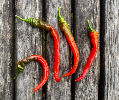 Produktfoto zu Pfefferoni - mild-würziger Snack- & Grillpaprika