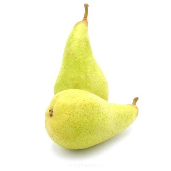 Produktfoto zu Birne Abate Fetel