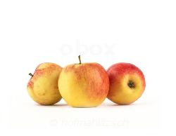 Produktfoto zu Apfel Jonagold