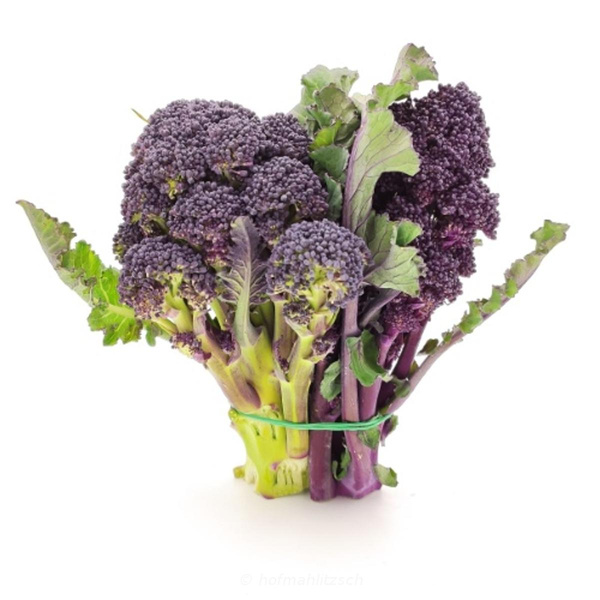 Produktfoto zu Violetter Sprossen Brokkoli Bund