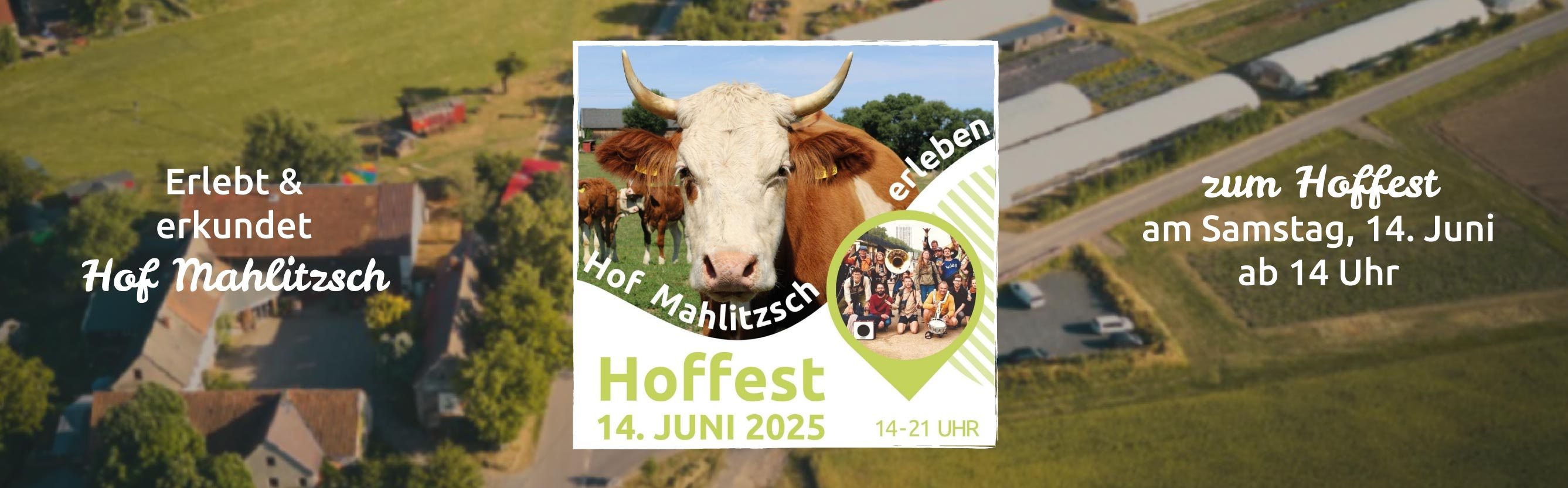 KI generiert: Einladung zum Hoffest am Hof Mahlitzsch am 14. Juni 2025, 14-21 Uhr. Bild von einer Kuh und Luftaufnahme des Hofs.