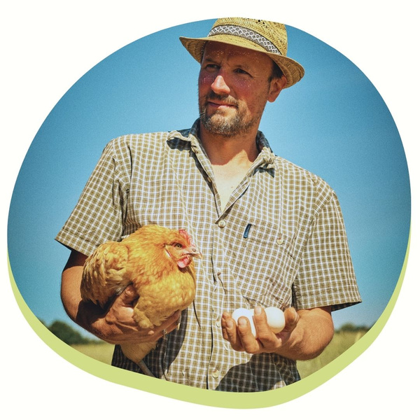 Bio-Eier von glücklichen Hühnern