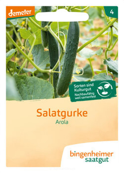 Produktfoto zu Salatgurke Arola