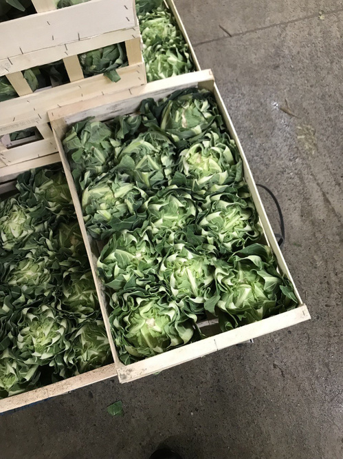 KI generiert: Holzkisten mit frischen Salatköpfen auf einem Betonboden.