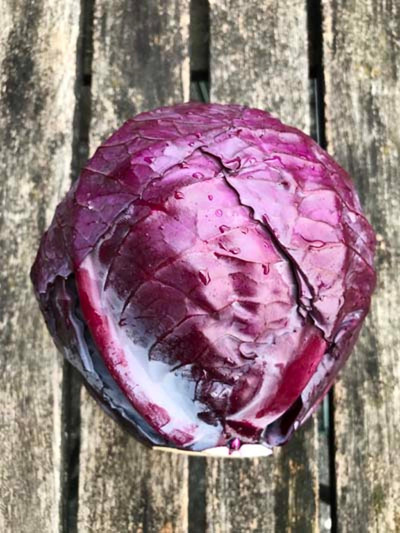 Produktfoto zu Rotkohl