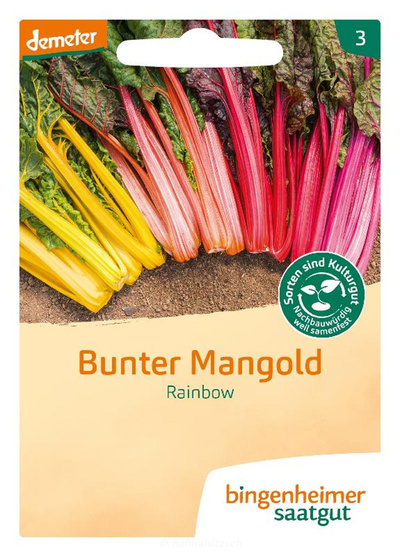 Produktfoto zu Bunter Mangold Rainbow
