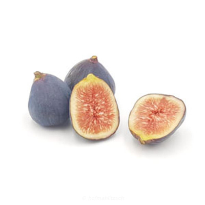 Produktfoto zu Feige - grün-blau & aromatisch