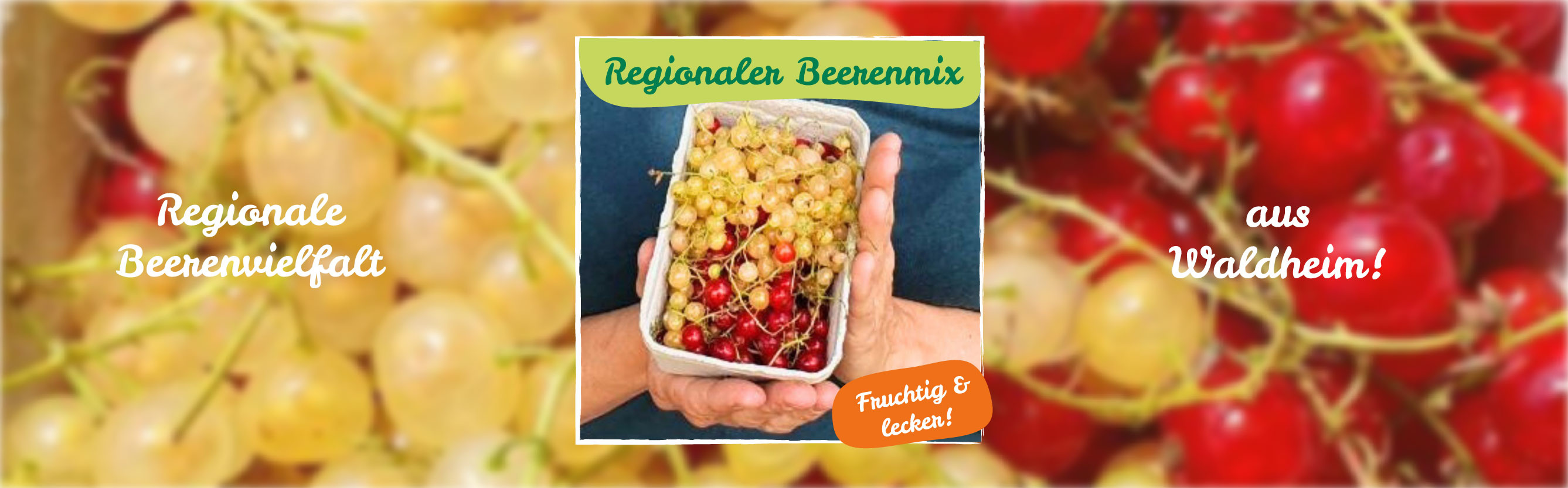Regionale Beerenvielfalt vom Lebensgut Pommritz.