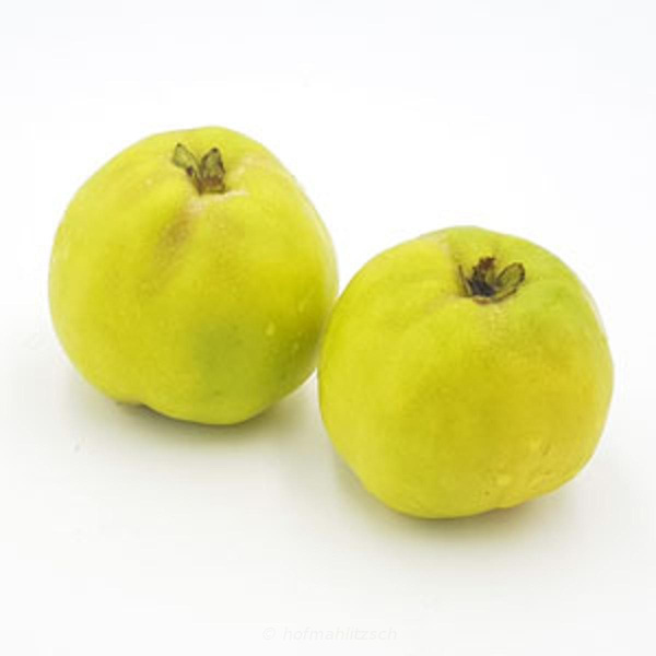 Produktfoto zu Quitte