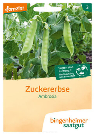 Produktfoto zu Zuckererbse Ambrosia