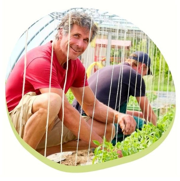 KI generiert: Das Bild zeigt zwei Männer, die in einem Garten arbeiten. Sie sind in einem Gewächshaus und pflegen Pflanzen.