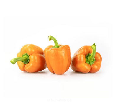 Produktfoto zu Paprika orange