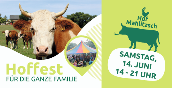 KI generiert: Eine Kuh auf einer Wiese, Text: "Hoffest, Samstag, 14. Juni, 14 - 21 Uhr, Hof Mahlitzsch."