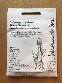 Produktfoto zu Stangenbohne Blaue Kamenzer