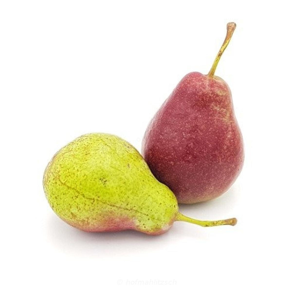 Produktfoto zu Birne Gräfin Gepa