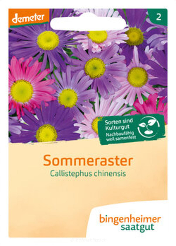 Produktfoto zu Sommeraster