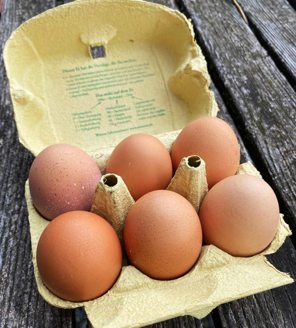 Produktfoto zu 6er Packung Eier