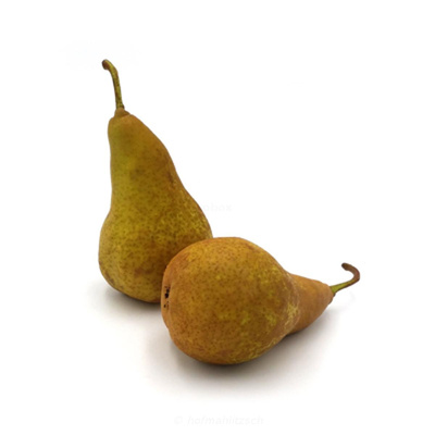 Produktfoto zu Birne Concorde
