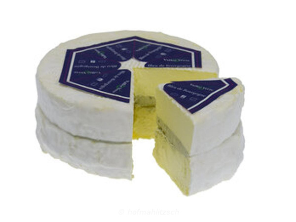Produktfoto zu Bleu de Bourgogne - Käsekomposition aus Weichkäse und Blauschimmelkäse