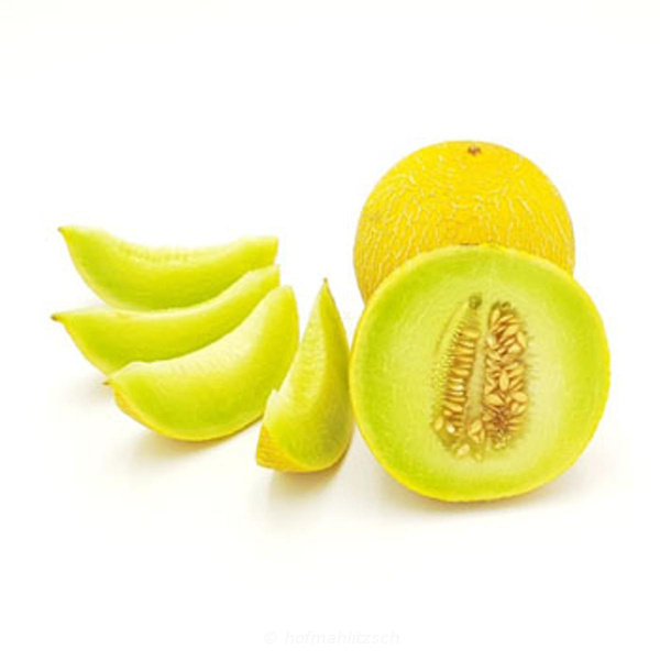 Produktfoto zu Melone Galia
