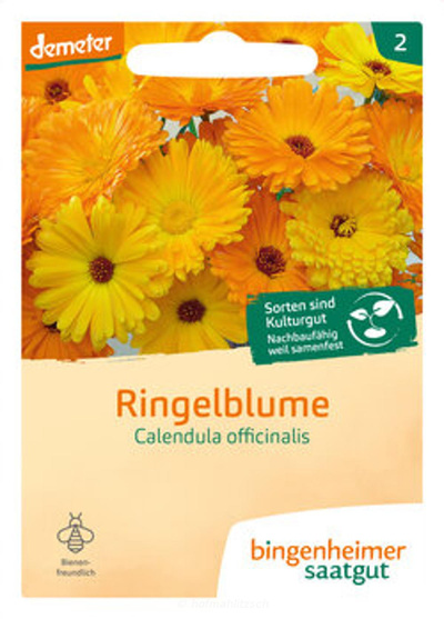 Produktfoto zu Ringelblume Calendula