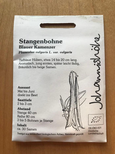 Produktfoto zu Stangenbohne Blaue Kamenzer