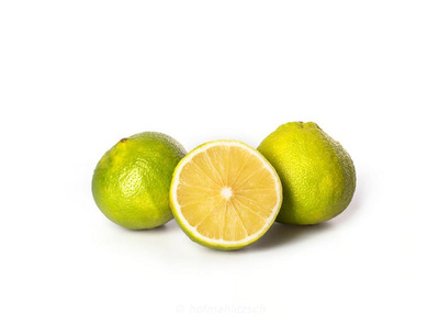 Produktfoto zu Bergamotte