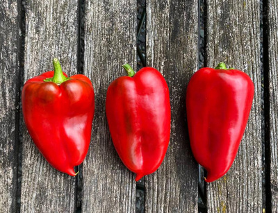 Produktfoto zu Spitzpaprika rot