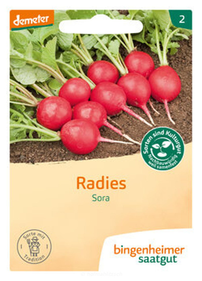 Produktfoto zu Radieschen Sora