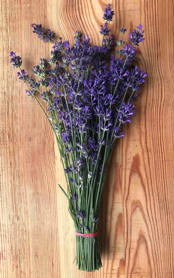 Produktfoto zu Lavendelblüten