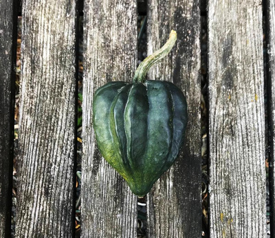 Produktfoto zu Table Queen - Kürbis (Mahl)