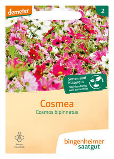 Produktfoto zu Cosmea
