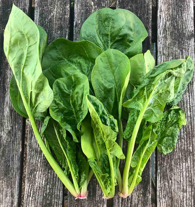 Produktfoto zu Blattspinat