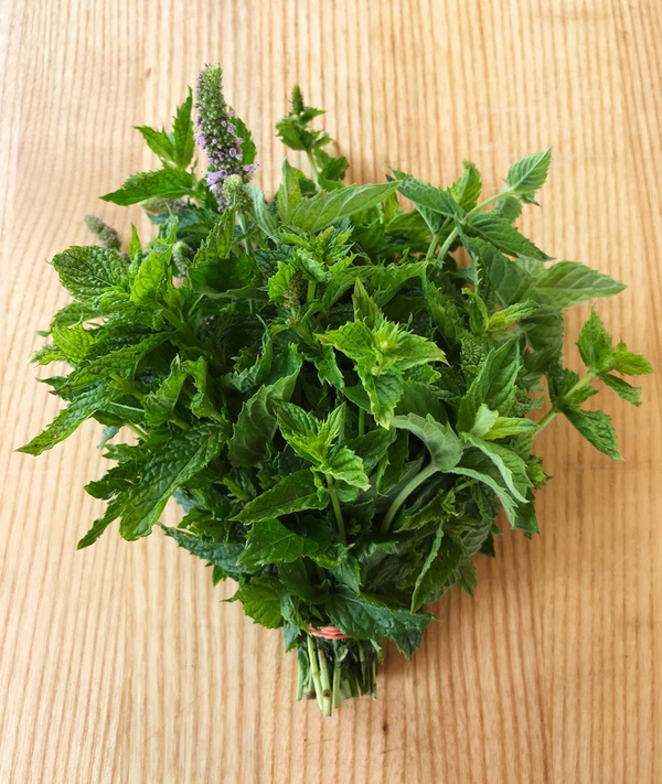 Produktfoto zu Pfefferminze