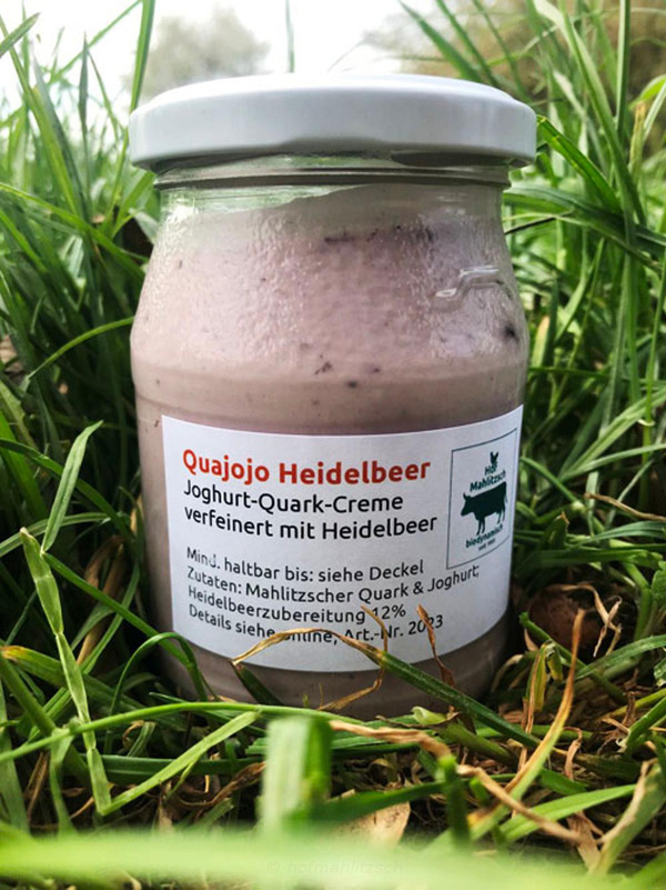 Produktfoto zu Quajojo Heidelbeer - Feine Heidelbeer-Quarkcreme - nur für kurze Zeit
