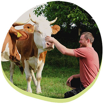 Herdenmanager Friedrich mit Kuh Ravioli